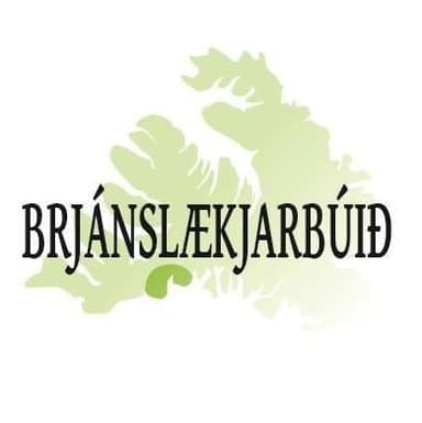 Brjánslækur Logo